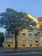 2-Raum-Wohnung mit Park-Blick! Lift, Balkon, SP mgl. - Bild