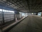 2 freist., pfeilerfreie Hallen in ruhiger Lage mit Büro-& Lagerebenen + ca. 2.500 m² Freifläche mgl. - Bild