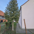 1996 saniertes, freistehendes MFH mit Nebenhaus, gr. Grundstück; Ausbaupotential im EG, Pkw-SP, derzeit 6,84% Rendite - (KI-generiert)