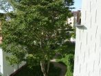 Helle 2- Raumwohnung mit Balkon in Möckern, Bad mit Badewanne + Fenster, Außenjalousie, Keller - Bild
