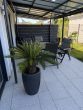RMH mit Garten, 4 Räume, inkl. EBK, Gä-WC, Terrasse, DG-Ausbaureserve, 2 SP u.v.m. - Terrasse