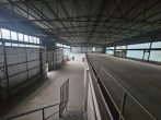 Freistehende, pfeilerfreie Halle in ruhiger Lage mit Büro-/Lagerebene, Freifläche möglich - Bild