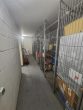 Lichtdurchflutete 1-R-ETW mit offenem Küchen- und Wohnbereich mit EBK & Balkon, TG-SP mgl. - Bild
