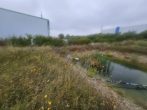 Produktions-/Warmlagerhalle mit Büro & Sozialtrakt, SP + zusätzl. Freifläche möglich - Löschteich
