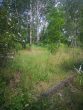 SHAREDEAL - ca. 4,5 ha großes Grundstück mit Bestandsgebäuden - Bild