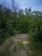 SHAREDEAL - ca. 4,5 ha großes Grundstück mit Bestandsgebäuden - Bild