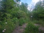 SHAREDEAL - ca. 4,5 ha großes Grundstück mit Bestandsgebäuden - Bild