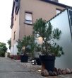 EFH + Werkstatt-Nebengebäude auf ca. 3.555 m² gr. Bau-GS - 9 Räume, 3 Garagen, , Gartenteich u.v.m. - Bild