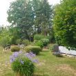 EFH + Werkstatt-Nebengebäude auf ca. 3.555 m² gr. Bau-GS - 9 Räume, 3 Garagen, , Gartenteich u.v.m. - Bild