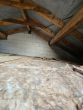 Privatoase mit modernem Neubaukomfort in ruhiger Lage mit Garten und nah am Goitzschesee - Bild