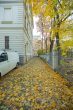 Büro/Praxisfläche am Johannapark mit 6 Räumen, 2 Küchen, großer Terrasse, Sp mgl. - Bild