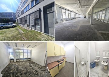 Lichtdurchflutete und imposante Gewerbefläche im Gewerbegebiet, veredelter Rohbau, SP mgl., 04347 Leipzig, Bürofläche