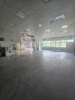 Ca. 6.102 m² GS mit 2 Warmlagerhallen mit Büro- + Sozialtrakt, gr. Rolltore, Löschteich, SP - Bild