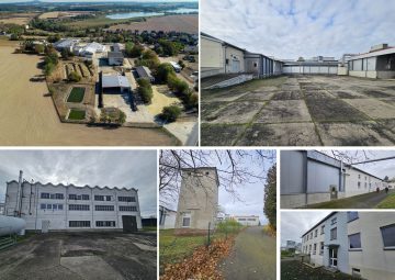 Teilanmietung ab 500 m² für Bestandsgebäude (ca. 13.000 m² NF) von Halle, Lager, Büro, gew. Wohnen, Werkstatt, 04688 Grimma, Lagerfläche